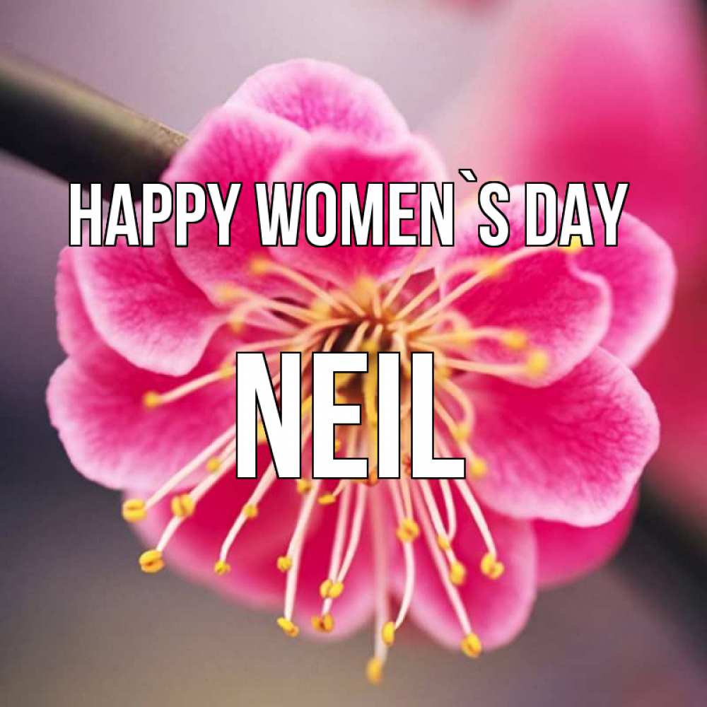 Greetings card с именем, Neil happy women`s day цветы Greetings with text for free download 